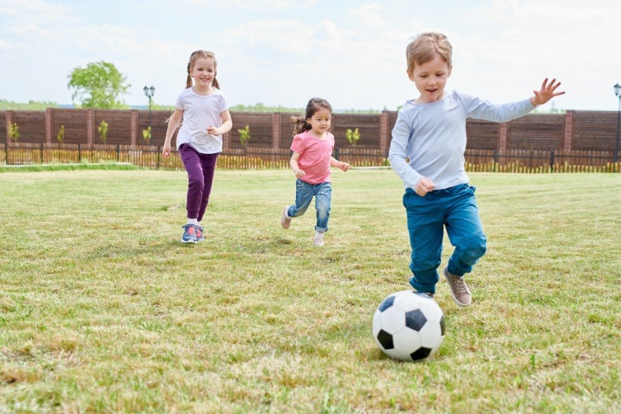Personal Liability Insurance (Coverage E)
